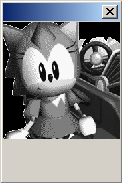 Amy Rose
